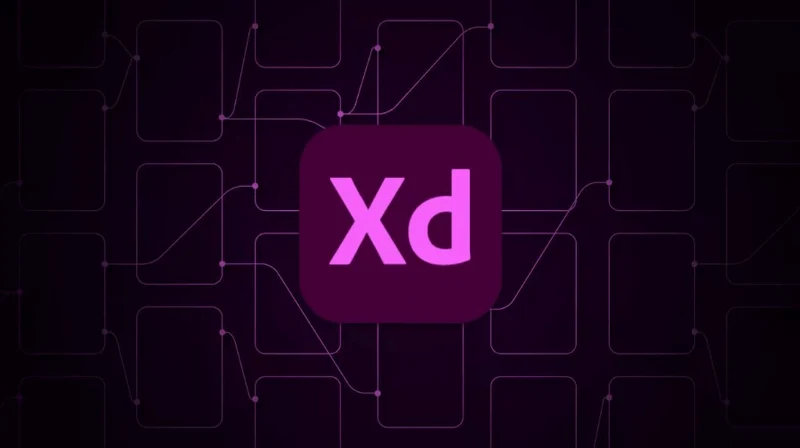  Adobe XD Access and Historical Free Plan: What to Check