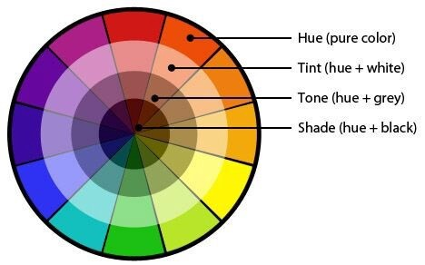 Color wheel with examples of hue, tint, tone and shade