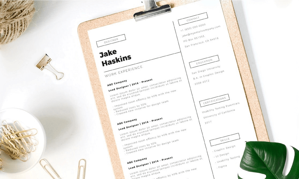 resume example
