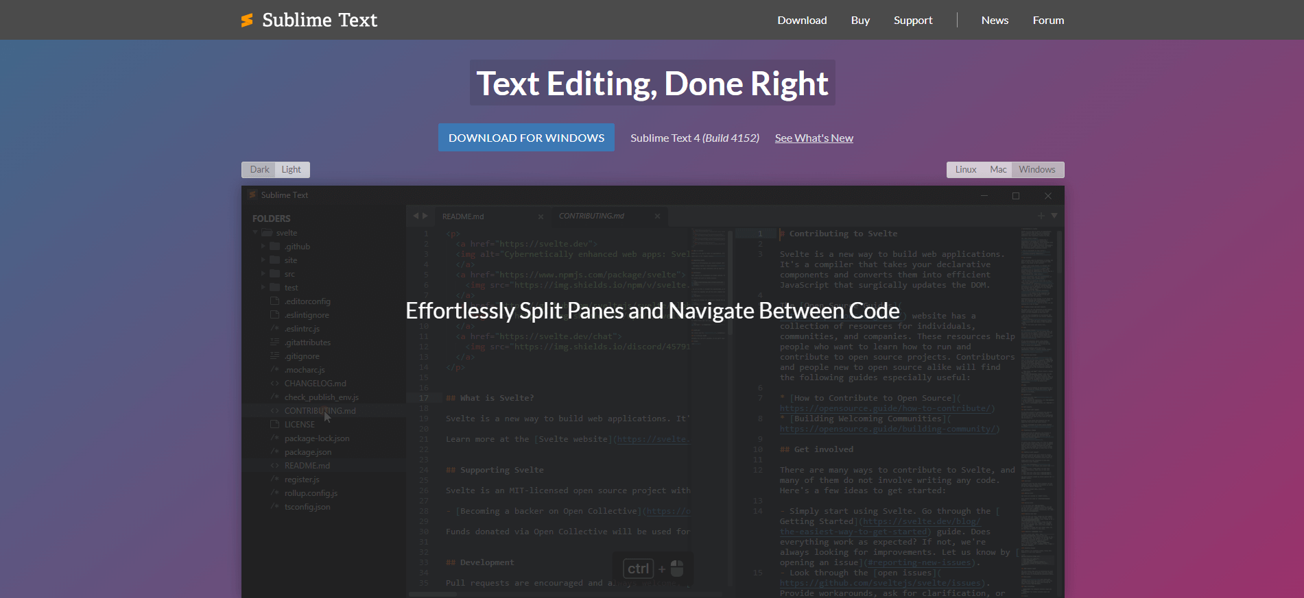 4.1 Sublime Text:の参考画像