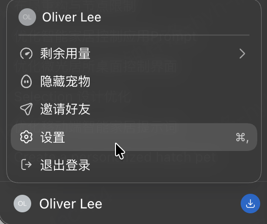 打开 Codex 设置