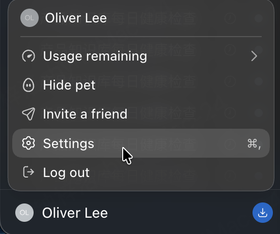 Open Codex Settings