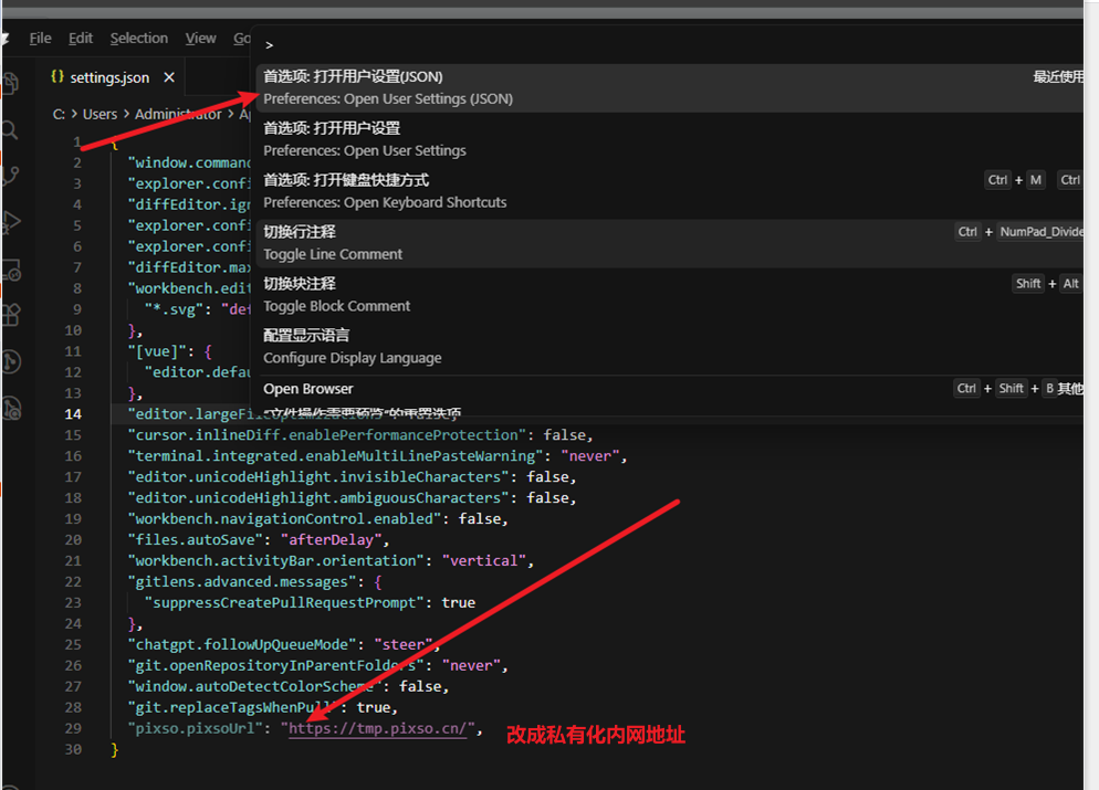 在用户设置 JSON 中配置私有化地址