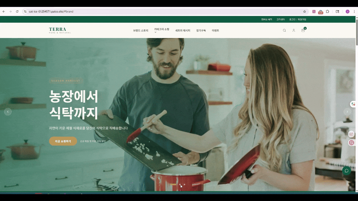 클로드 디자인 사용
